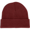 POLAR CUFF BEANIE